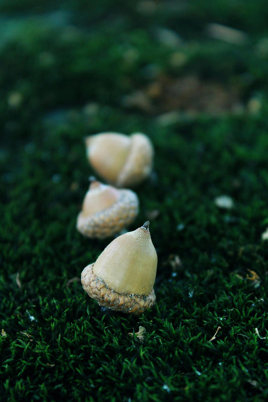 The 3 planes of fertility