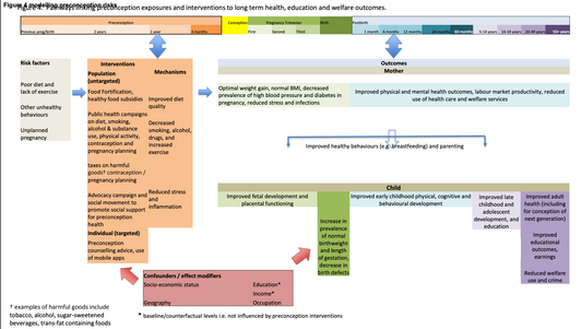 Preconception exposures contribute to the developmental origins of health and disease